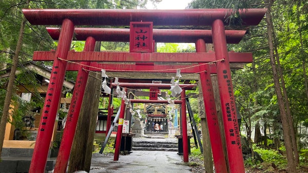 新倉山浅間公園からの初富士と新屋山神社初詣ツアー
~温泉で初湯と富士山眺望~2